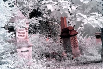 Winter auf dem Abney Park Friedhof, London von Helga Novelli