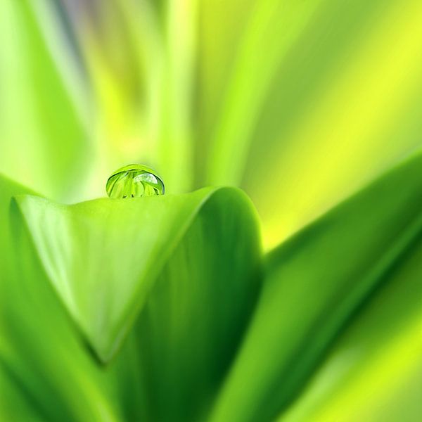 Wassertropfen von Violetta Honkisz