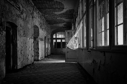 The hall by Human- pictures