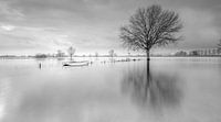 High Water