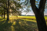 Herfstkleuren van Moetwil en van Dijk - Fotografie thumbnail