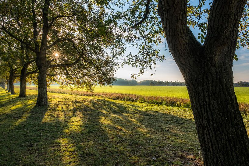 Herfstkleuren van Moetwil en van Dijk - Fotografie