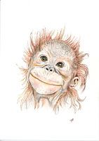 cheeky monkey!