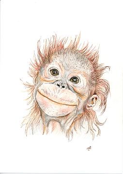 cheeky monkey!