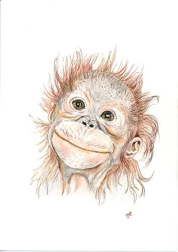 cheeky monkey!