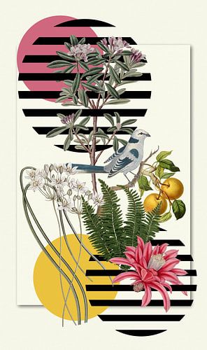 Of Birds and Fruits and Everything