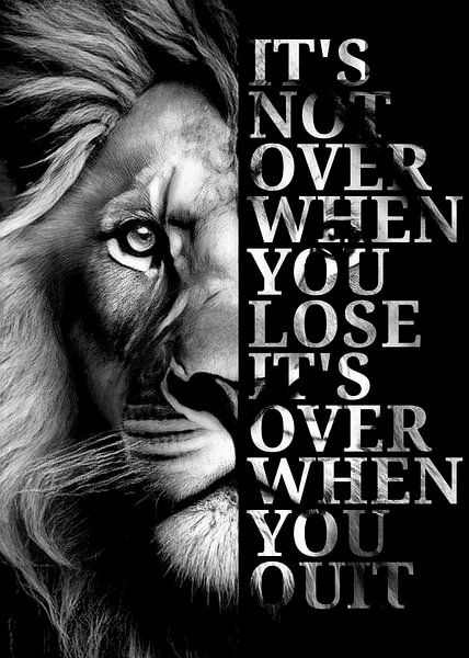 Lion quotes by XIAO AHKI