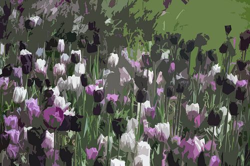Tulpen