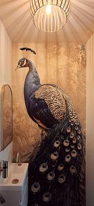 Blue peacock