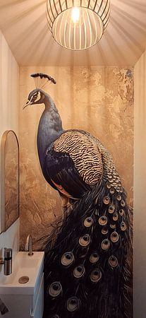Blue peacock