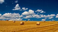 Sommer