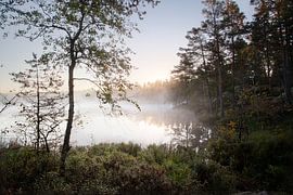 Schwedischer Morgen von Mark Leeman