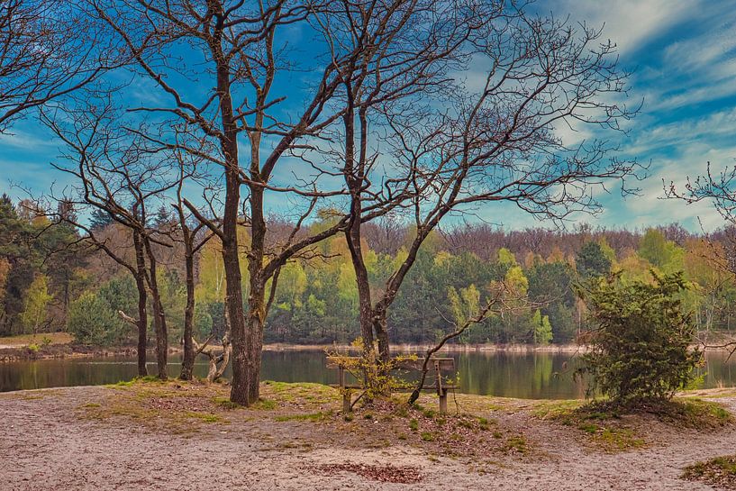 Bankje van snippefotografie