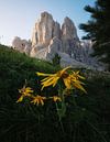 Val Gardena von Patrick Noack Miniaturansicht