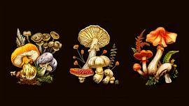 triptych of mushrooms on black background by Margriet Hulsker