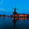 Haarlem en lumière bleue marque I sur Bfec.nl