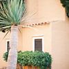 Maison en terre cuite à Ibiza // Photographie de voyage sur Diana van Neck Photography