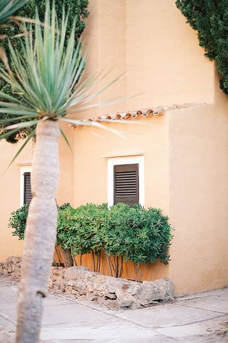 Terracotta huis op Ibiza // Reisfotografie