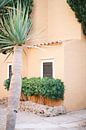 Terracotta house in Ibiza // Travel photography by Diana van Neck Photography thumbnail