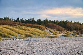 Op het Oostzeestrand met duinen van Martin Köbsch