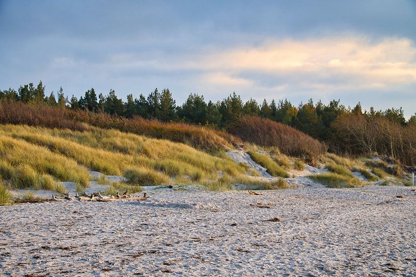 On the Baltic Sea beach with dunes by Martin Köbsch