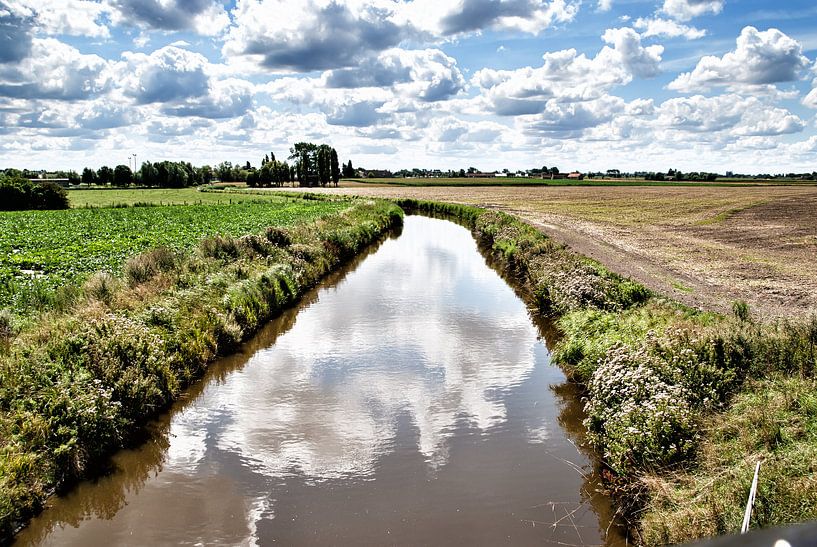 In Die Polder von Manuel Declerck