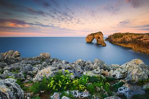 Castro de las gaviotas