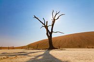 Deadvlei in Namibië van Jan Schuler thumbnail