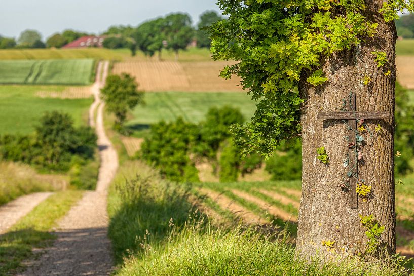 Boomkruis met landweg in Zuid-Limburg van John Kreukniet