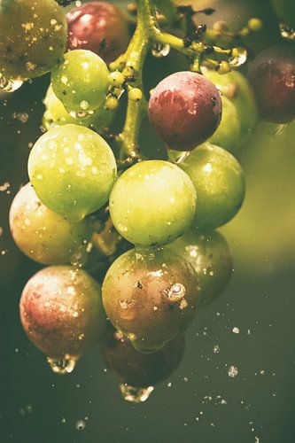 gouttes scintillantes - des raisins