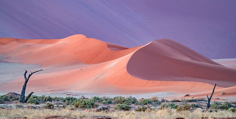 Pink dessert by Alexander Koenders