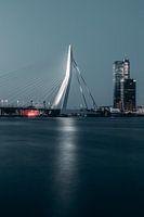 Erasmusbrug at Night #1