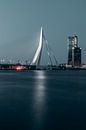 Erasmusbrücke bei Nacht #1 von Chris Koekenberg Miniaturansicht