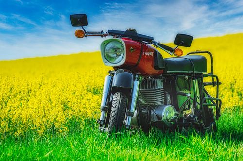 MZ ES 250/2 Trofee 1971