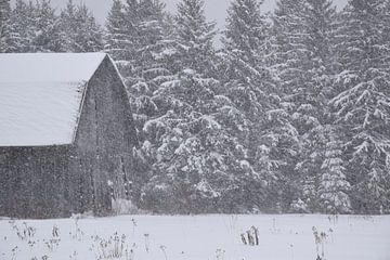 A barn in winter by Claude Laprise