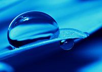 Water drop