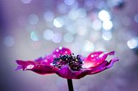 Magische bloem met glitter bokeh van Evelien Oerlemans thumbnail