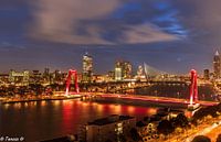 Rotterdam skyline at night