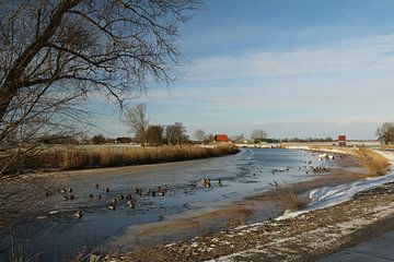 Rivier de Boorn in Friesland van Pim van der Horst