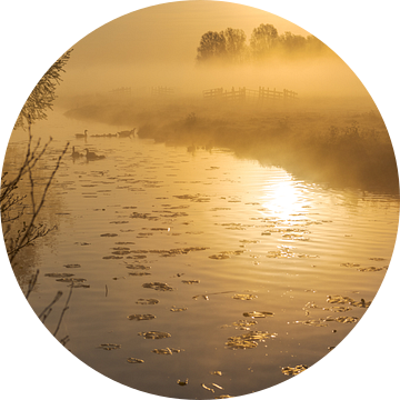 Sfeervolle, gouden zonsopkomst met mist in de Alblasserwaard van Beeldbank Alblasserwaard