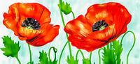 aquarelle de coquelicots lumineux