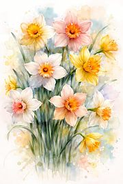 Daffodils