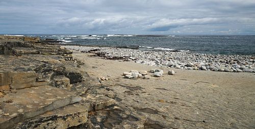 Kilkee Beach is een stenen strand in het dorp Kilkee.