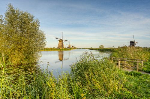 Evening sun in Kinderdijk by Michael Valjak