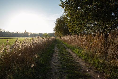 Tijdens wandelen in Oirschot met de herfst