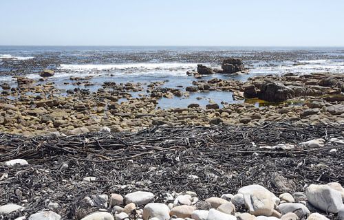 Kust Kaapstad