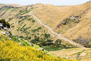 Madeira sur Michel van Kooten