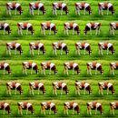 Kühe, Kühe, Kühe (Kunst und Kühe) von Ruben van Gogh - smartphoneart Miniaturansicht