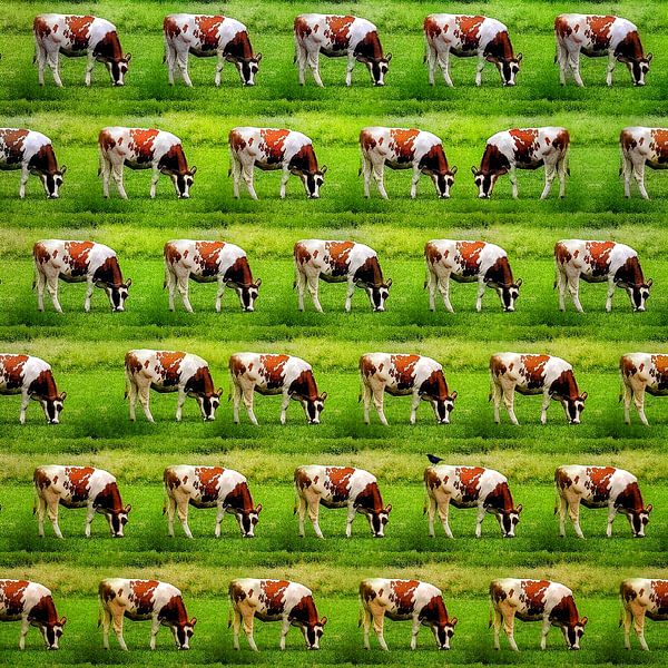 Kühe, Kühe, Kühe (Kunst und Kühe) von Ruben van Gogh - smartphoneart