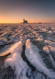 Paard van Marken van Melvin Jonker